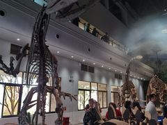 -自贡恐龙博物馆