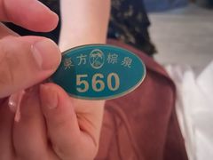 -东方棕泉·洗浴·按摩·美食国际水疗会所(福田店)