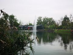 -成飞公园
