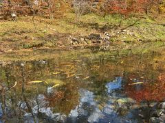 -本溪老边沟风景区