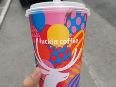 -瑞幸咖啡(大连罗斯福广场一层店)