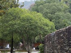 -三江森林温泉度假区