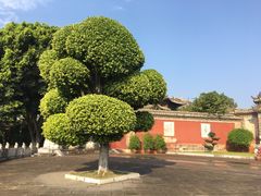 -建水文庙