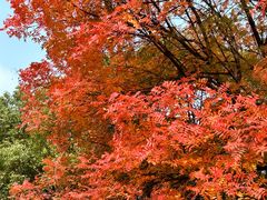 -艾溪湖湿地公园