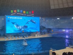 -泉城欧乐堡海洋极地世界