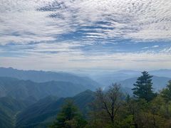 -牛背梁国家森林公园