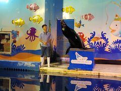 -太平洋海底世界