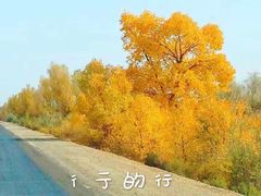 -中国酒泉卫星发射中心