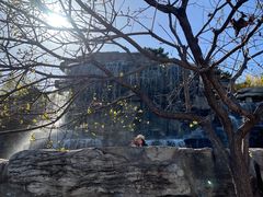 -北京西山国家森林公园