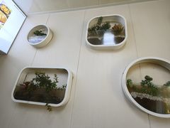 -安悦煎饼(河北店)