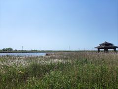 -宁波杭州湾国家湿地公园