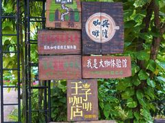 -兴隆隆苑咖啡庄园