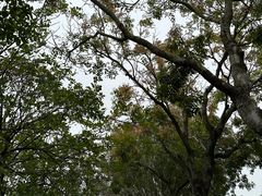 -深圳湾公园(南山区)