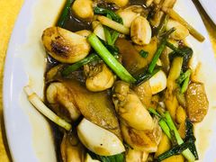-濠轩阁特色生蚝火锅(水湾路店)