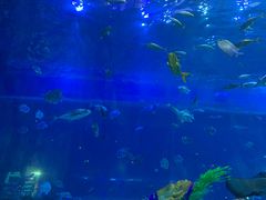 -华夏文旅海洋公园