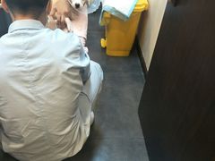 -宠爱国际动物医院·消化内科·心肾内科·ISFM猫友好(望京店)