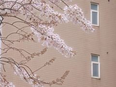 -红星桥(地铁站)