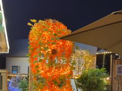 -后湖小院·乡野田园菜