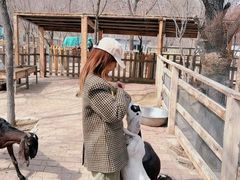 -水上乐园·欢乐世界