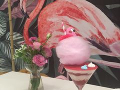 火烈鸟-随心小姐