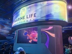 -海底巡游艇:尼莫和好友的海洋世界