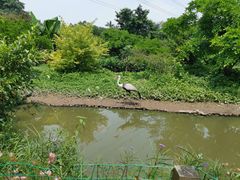-广州长隆飞鸟乐园