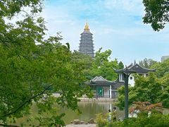 -红梅公园