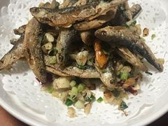 -全乐鱼馆·淳牌有机鱼直营店