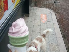 西班牙红提口味华芙筒-麦当劳(民盈·国贸城店)
