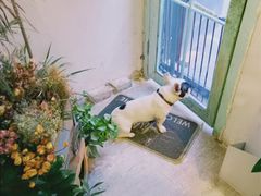 -小时光咖啡馆(北锣鼓巷店)