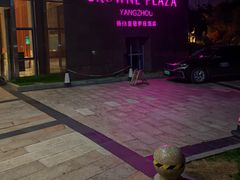 -扬州皇冠假日酒店