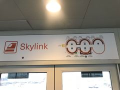 -达拉斯 沃斯堡国际机场