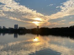 -海珠湖公园