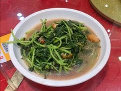 清炒米苋菜-无锡新湖铂尔曼大酒店·悦轩中餐厅