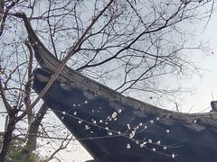 -杭州半山国家森林公园