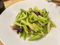 -海派美食·家宴海鲜青岛菜·石锅鲽鱼头(东方城店)