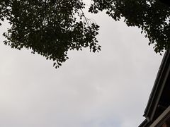 -星巴克臻选(思南公馆店)