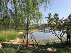 -西海子公园
