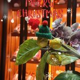 探店茉里观邸 | 圣诞雅韵🎄