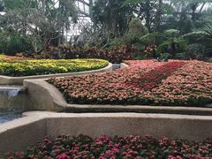 -南山植物园