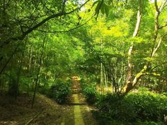 -杭州半山国家森林公园