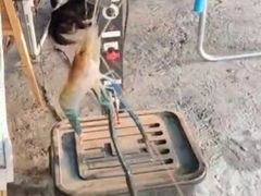 -会江钓鱼钓虾烧烤场