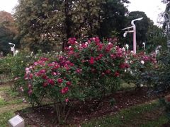 -人民公园(罗湖区)