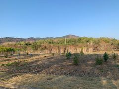 -天适樱花悠乐园