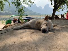 -61号餐吧(兴坪古镇漓江店)