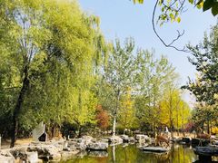 -周口店北京人遗址公园
