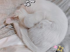 -佳雯宠物医院(四明中路分院)