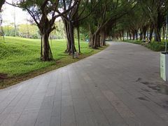 -新梅园不夜粥(龙华店)