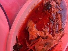 -范饭椰林川湘味海鲜·椰子鸡(三亚湾椰梦长廊店)