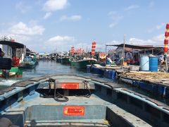 -蓝湾碧波·老字号·疍家非遗海上餐厅